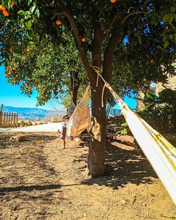 Verde Agua Agroturismo E Agricultura Biologica Couto エクステリア 写真