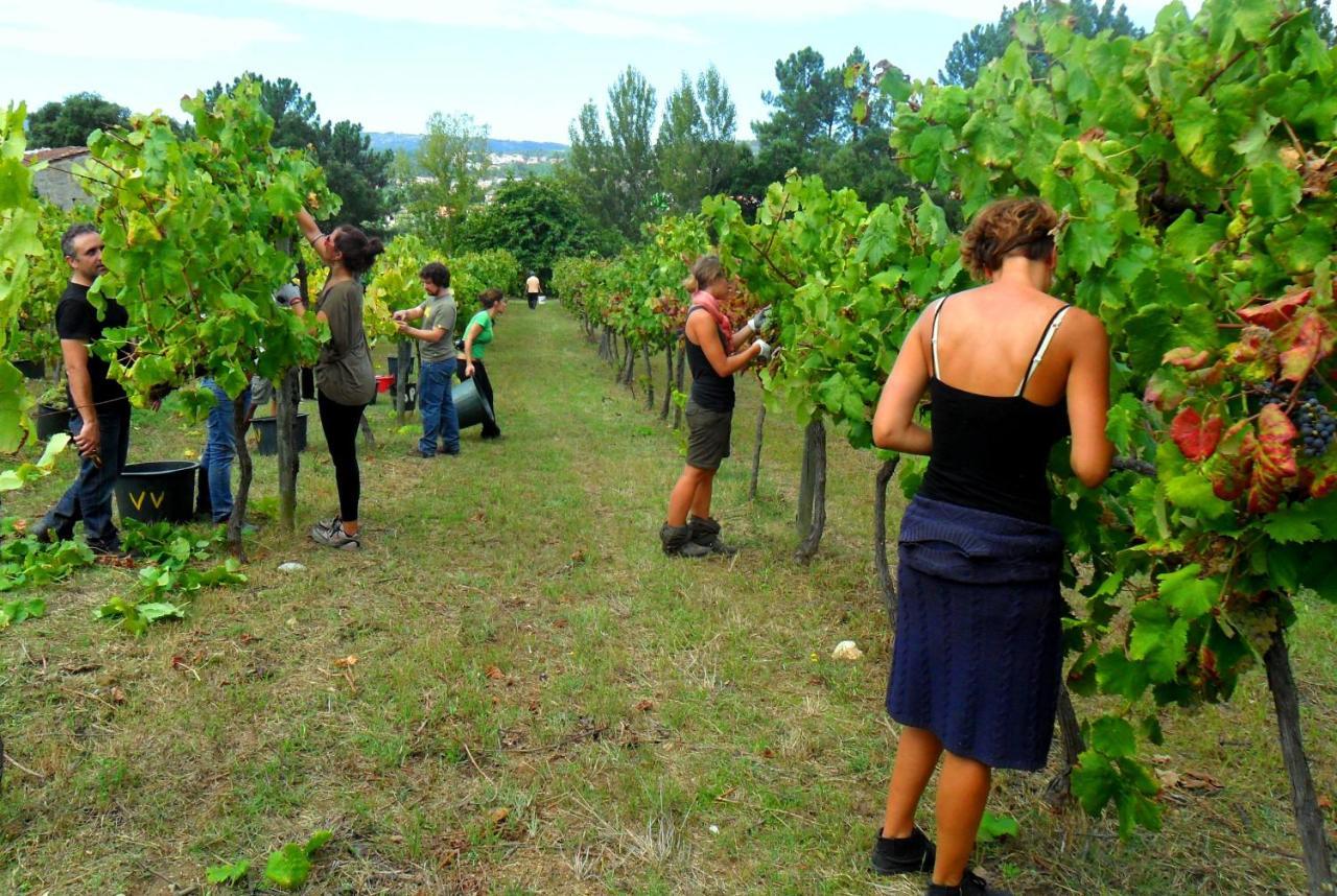 Verde Agua Agroturismo E Agricultura Biologica Couto エクステリア 写真
