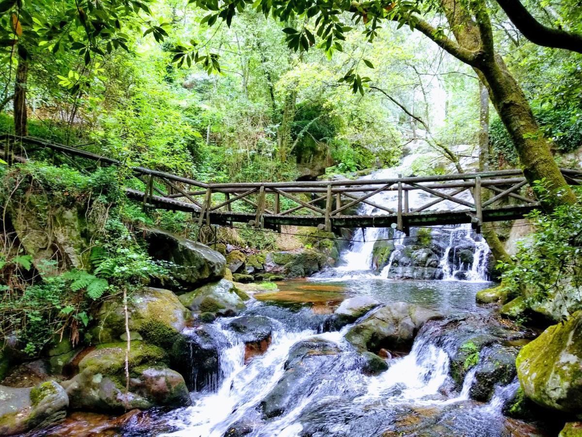Verde Agua Agroturismo E Agricultura Biologica Couto エクステリア 写真