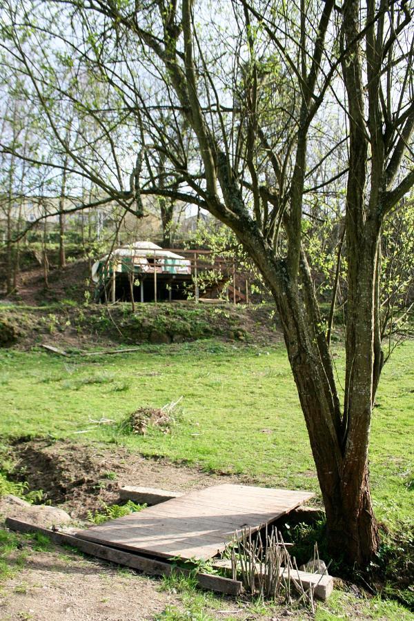 Verde Agua Agroturismo E Agricultura Biologica Couto エクステリア 写真