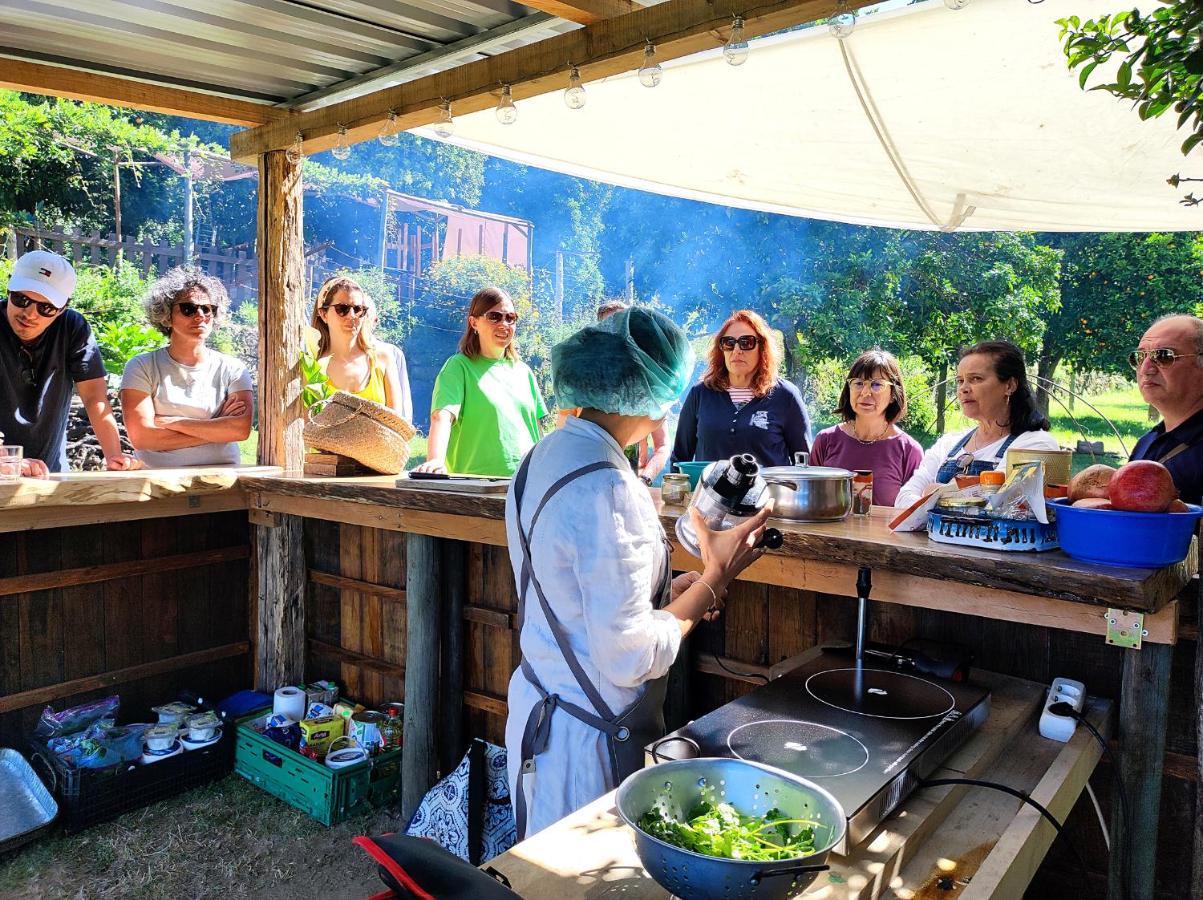 Verde Agua Agroturismo E Agricultura Biologica Couto エクステリア 写真